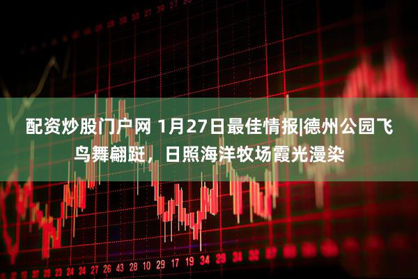 配资炒股门户网 1月27日最佳情报|德州公园飞鸟舞翩跹，日照海洋牧场霞光漫染
